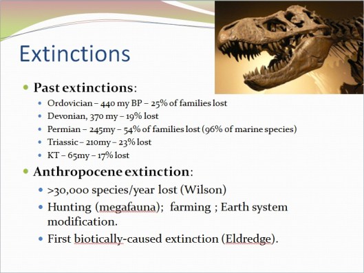 3Extinctions3