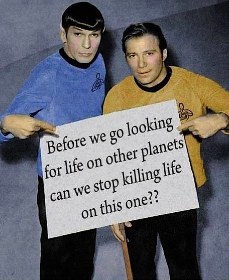 406328_353377968076055_177145255_n