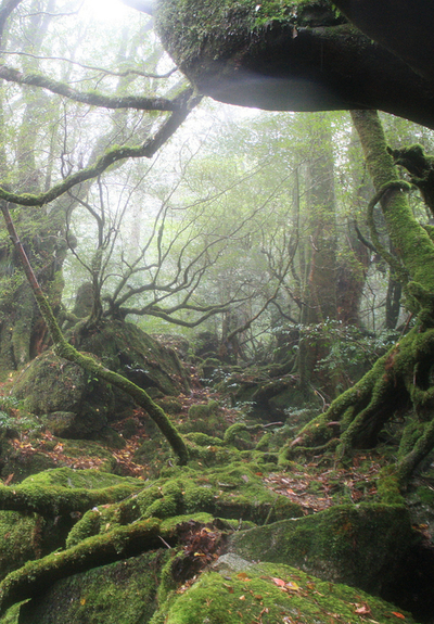 tumblr_mln2dfRvEV1qzkgllo1_400