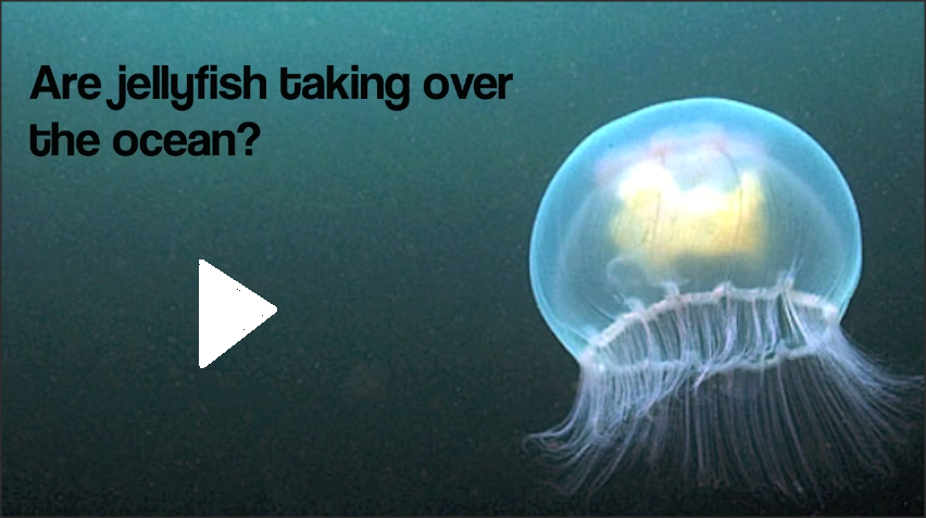 Snap 2013-09-19 at 23.24.45