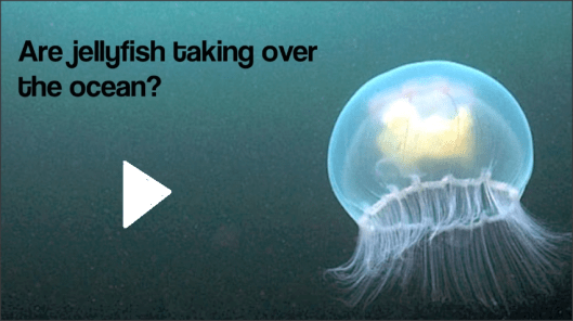 Snap 2013-09-19 at 23.24.45