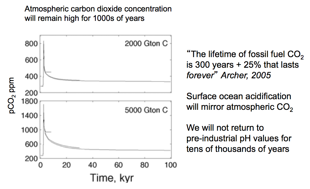 Snap 2014-06-27 at 11.07.57