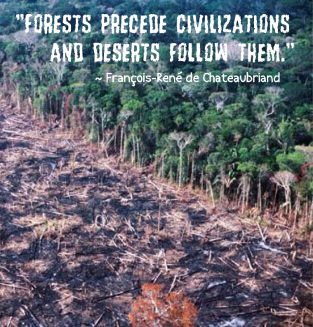 imageedit_37_9661706827