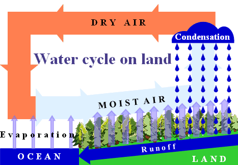 water_cycle_on_land