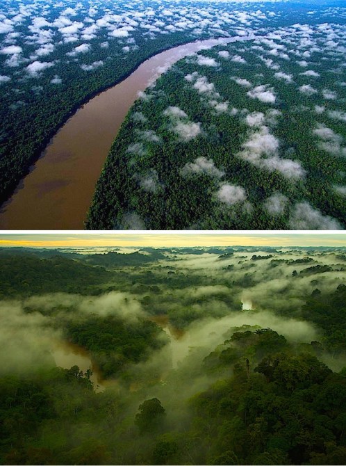 Yasuni_National_Park_Aerial_Tiputini