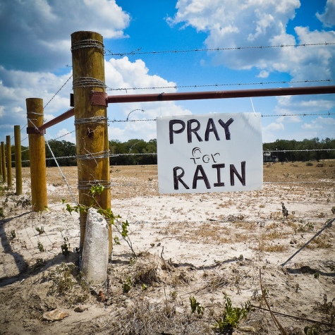 Handwritten sign on farm fence during Texas drought.